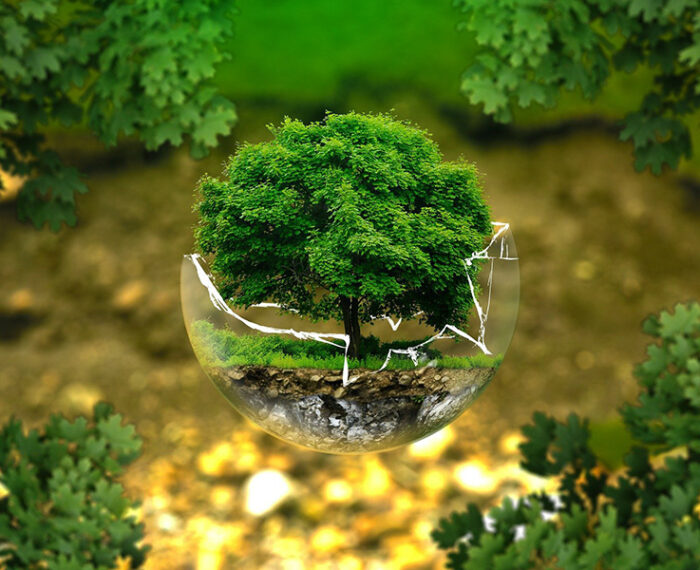 Environmental-protection Environmental-protection